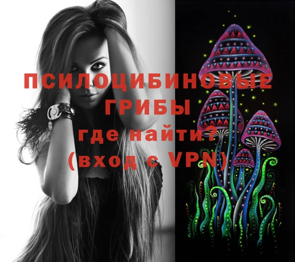 каннабис Белокуриха